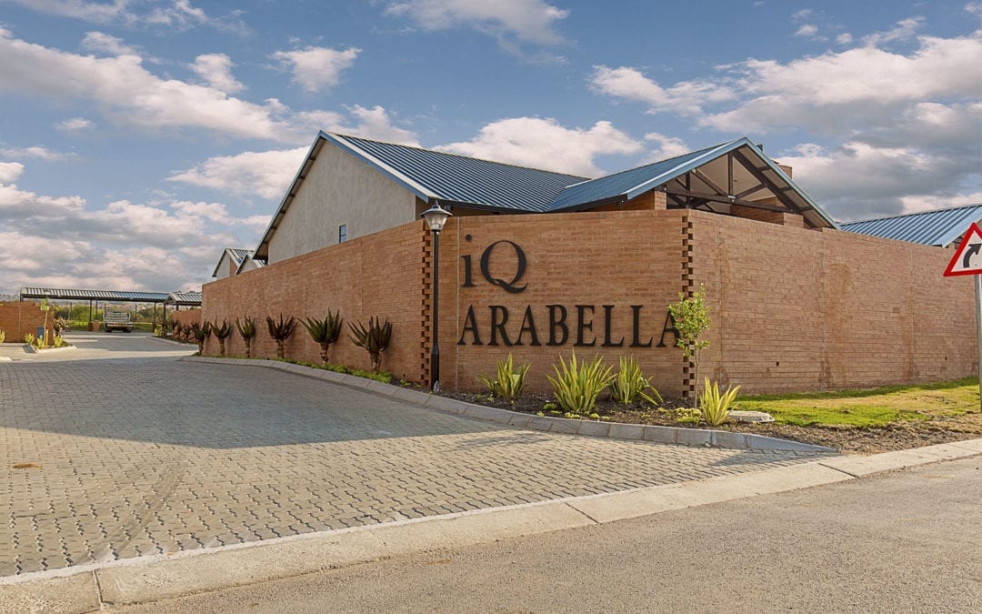 iQ Arabella